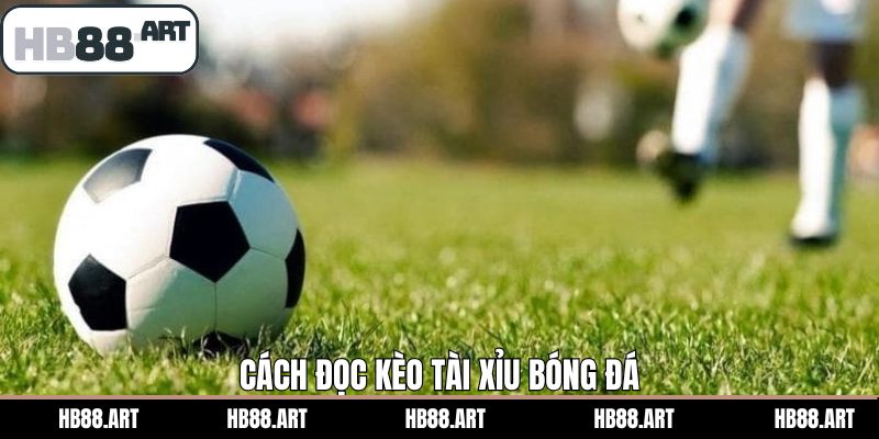 Cách đọc cược O/U trong bóng đá