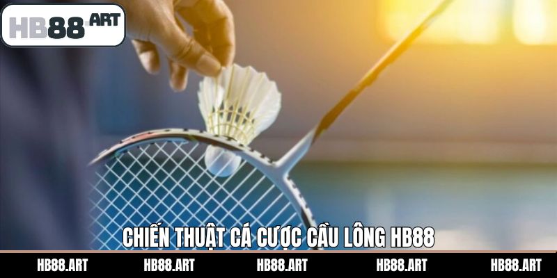 Bí kíp giúp các thành viên chinh phục kèo cược cầu lông