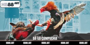 Đá Gà Campuchia - Siêu Phẩm Cược Đỉnh Cao Nhất HB88