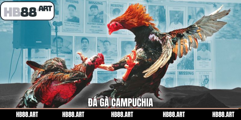 Đá Gà Campuchia - Siêu Phẩm Cược Đỉnh Cao Nhất HB88