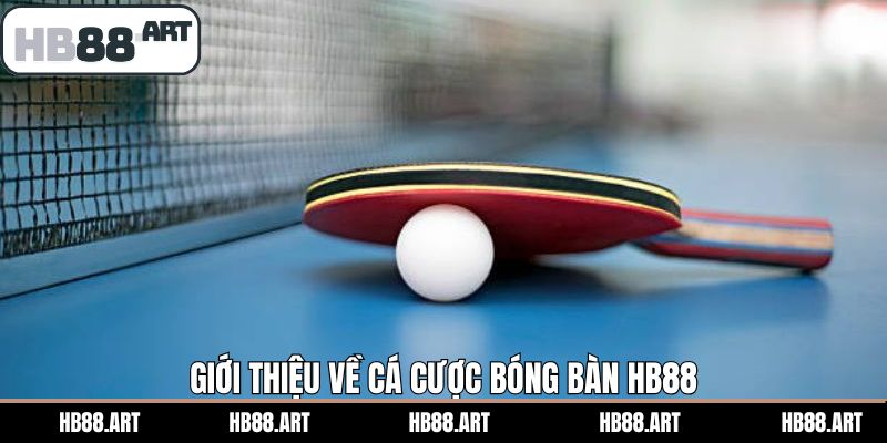 Tổng quan về bộ môn cá cược bóng bàn tại nhà cái HB88
