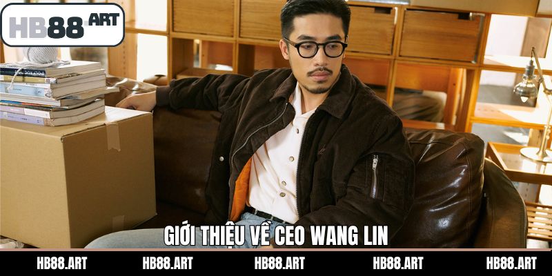 Tiểu sử tác giả Wang Lin