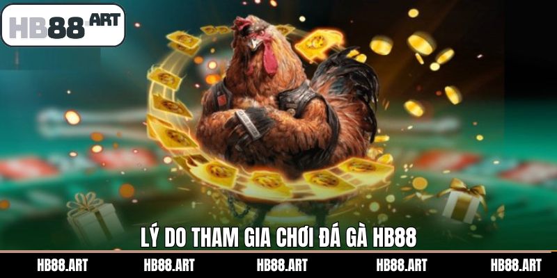 Những ưu điểm góp phần làm nên tên tuổi của đá gà HB88