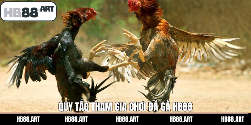 Những quy tắc quan trọng trong cá cược đá gà HB88 